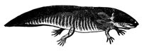 416258.jpg