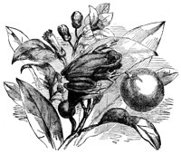 416252.jpg
