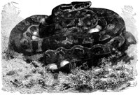 416180.jpg