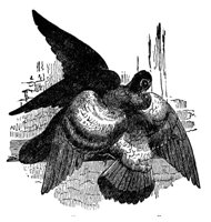 416072.jpg