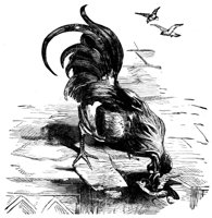 416070.jpg