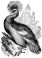416068.jpg