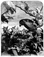 416038.jpg