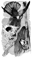 415978.jpg