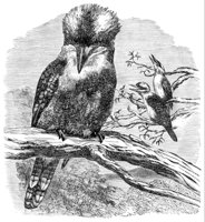 415970.jpg