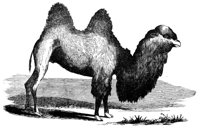 415790.jpg