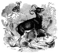 415784.jpg