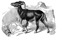 415782.jpg