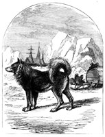 415674.jpg