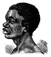 415570.jpg