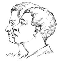 415568.jpg