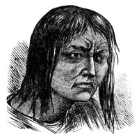 415560.jpg