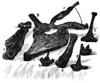415536.jpg