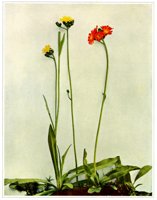 405770.jpg