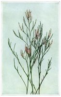 405276.jpg
