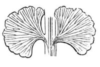 290979.jpg