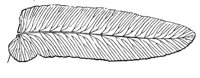 290961.jpg