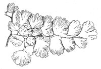 290887.jpg