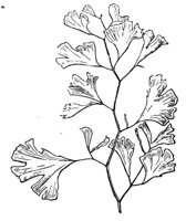 290885.jpg