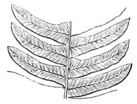 290767.jpg