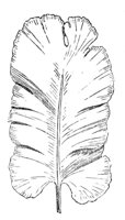 290711.jpg