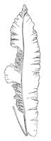 290691.jpg
