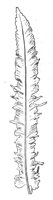 290687.jpg