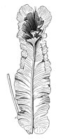 290685.jpg
