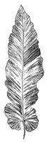 290675.jpg