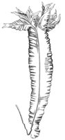 290659.jpg