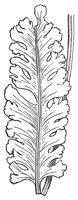 290649.jpg