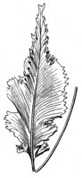 290645.jpg