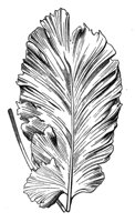 290635.jpg