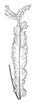 290625.jpg