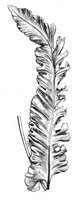 290591.jpg