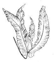290553.jpg
