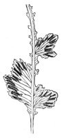290545.jpg