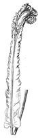 290535.jpg