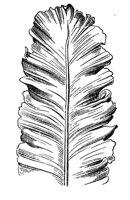 290511.jpg
