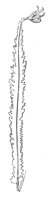 290507.jpg