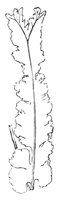 290505.jpg
