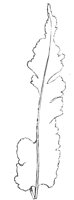 290491.jpg
