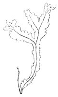 290483.jpg