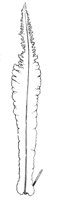290481.jpg