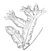 290477.jpg