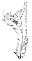 290467.jpg