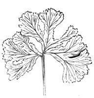 290449.jpg