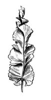290447.jpg