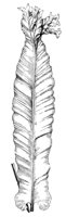 290445.jpg