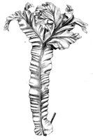 290435.jpg